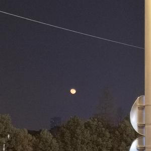 肥婆自慰免费观看
