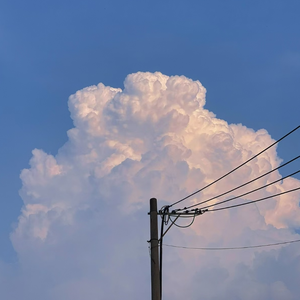 肥婆自慰免费观看
